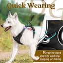 Doggo Bite Premium Reflective Vest Harness with Free 22mm Leash view 5