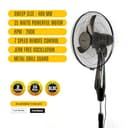 Blueberry's LEE 400mm BLDC Pedestal Fan view 5