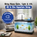 Buraq Curved Polycarbonate Aquarium view 3
