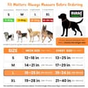 BURAQ No Pull Dog Harness view 3