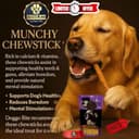 Doggo Bite Premium Reflective Vest Harness with Free 22mm Leash view 9