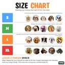 BURAQ No Pull Dog Harness view 4