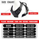 Lyrovo Adjustable No-Pull Harness with Leash Set view 2