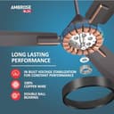 Havells Ambrose 1200mm BLDC Ceiling Fan view 3