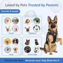 Doggo Bite Premium Reflective Vest Harness with Free 22mm Leash view 7