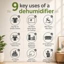 Origin O12I 12L Dehumidifier view 6