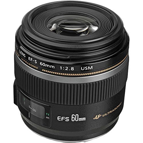 Canon EF-S 60mm f/2.8 Macro USM (Budget DSLR)