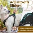 Doggo Bite Premium Reflective Vest Harness with Free 22mm Leash view 3