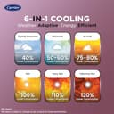 Carrier 1.5 Ton 4 Star ESTER EDGE FXi Inverter Split AC view 3