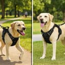 Lyrovo Adjustable No-Pull Harness with Leash Set view 7