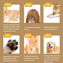 ELLEVE Professional Dog Clipper view 9