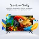 Xiaomi 80 cm (32 inches) G QLED Series Smart TV L32MB-APIN view 9