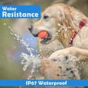 Acumen Track Pet GPS Tracker view 5