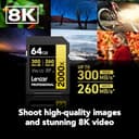 Lexar Professional 2000x 64GB V90 UHS-II view 2