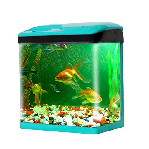 Smiling Pets Crystal Clear 28L Aquarium
