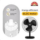atomberg Renesa 400mm Table Fan view 3