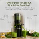 Glen Cold Press Juicer view 4