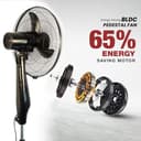 Blueberry's LEE 400mm BLDC Pedestal Fan view 2