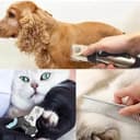 ELLEVE Professional Dog Clipper view 7