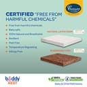Centuary Beddy Nest (Premium Natural Latex) view 6
