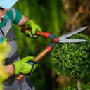 Kraft Seeds Hedge Shears view 2