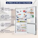 Electrolux 529L 1 Star Inverter Bottom-Mount Double Door Refrigerator (UltimateTaste 500, EBE5302C-S) view 2