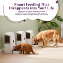 Kipenzi Smart WiFi Pet Feeder with Camera view 7