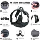 Lyrovo Adjustable No-Pull Harness with Leash Set view 4