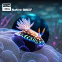 WZATCO Yuva Go Plus view 3