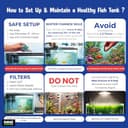 Buraq Curved Polycarbonate Aquarium view 6