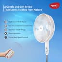 Pigeon BLDC Pedestal Fan 400mm view 3
