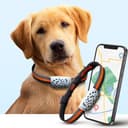 Acumen Track Pet GPS Tracker