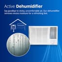 Voltas 1.5 Ton 5 Star Inverter Window AC view 5