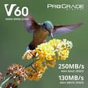 ProGrade Digital SDXC UHS-II V60 128GB Gold view 2