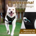 Doggo Bite Premium Reflective Vest Harness with Free 22mm Leash view 4