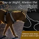 Doggo Bite Premium Reflective Vest Harness with Free 22mm Leash view 8