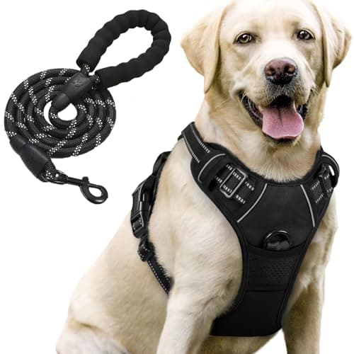 Lyrovo Adjustable No-Pull Harness with Leash Set