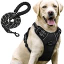 Lyrovo Adjustable No-Pull Harness with Leash Set