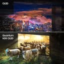 Samsung S90C 65' QD-OLED (QA65S90CAKLXL) view 6