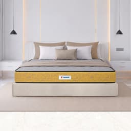 Sleepwell Ortho Pro Spring