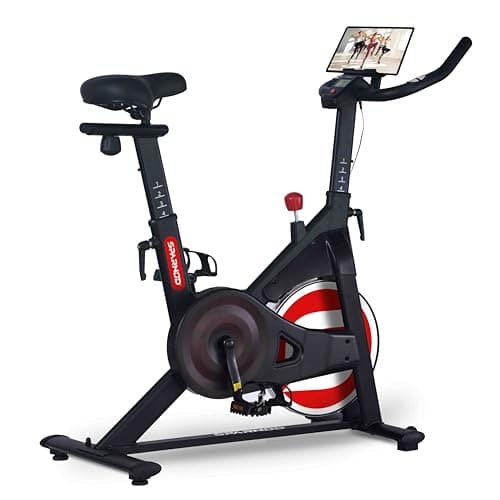 Sparnod Fitness SSB-10N Magnetic Spin Bike