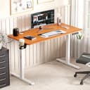 Lukzer Electric Standing Desk EST-003